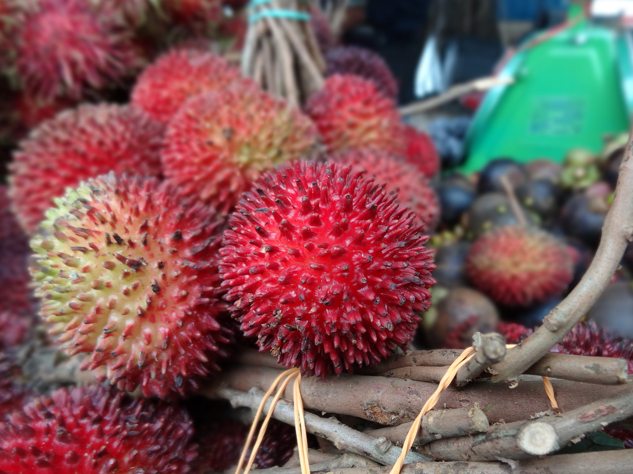 Pulasan. Pic: Jeff and Neda Fields/flickr