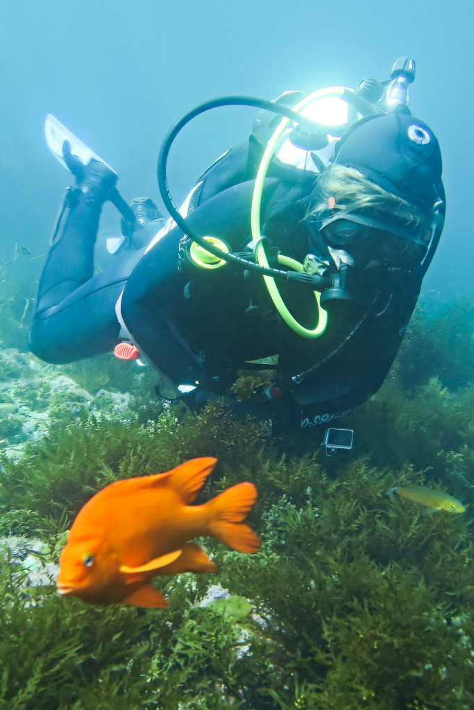 Diving Coronado Islands, Mexico