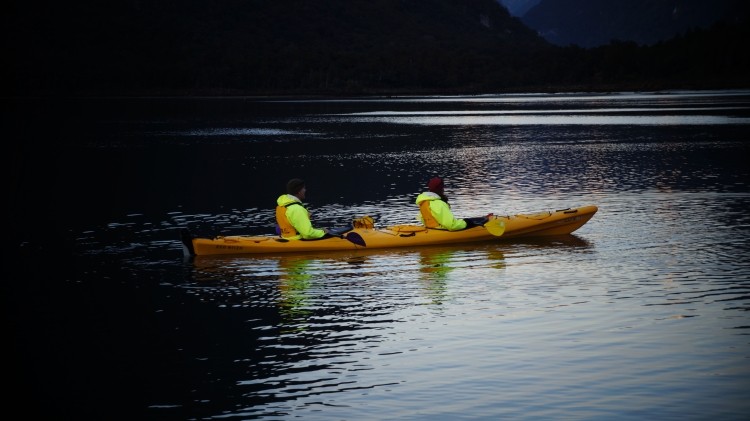Kayaking Milford Sound Active Adventures