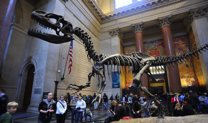 American Museum of Natural History is one of the best museums in NYC