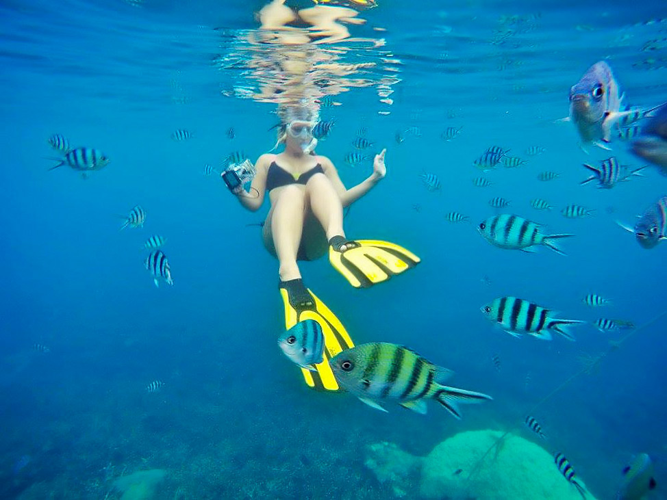 Jump Into Jaws Snorkeling Koh Tao