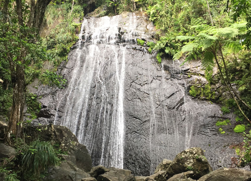 Hail a cab and set off to explore sights like the El Yunque National Forest, about an hour's drive from Old San Juan.