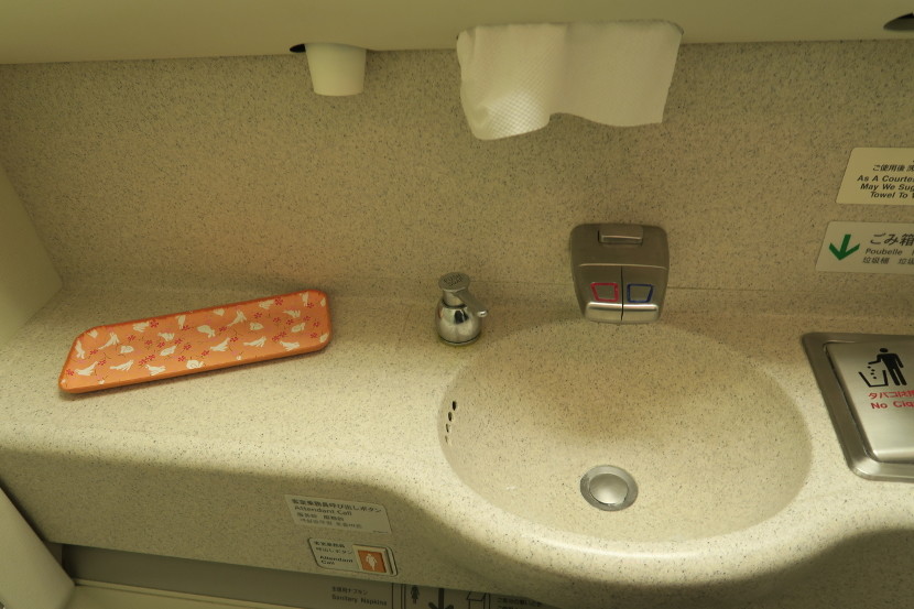 Toothbrushes were placed on trays in the bathrooms shortly after the departure meal — but they disappeared quickly!
