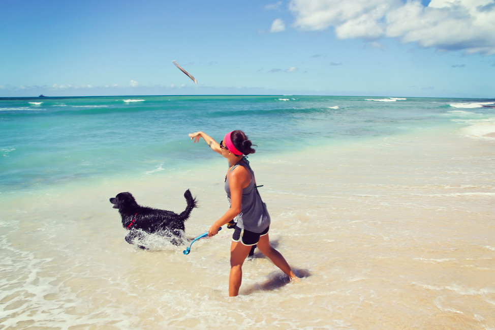 Dog Beach Oahu