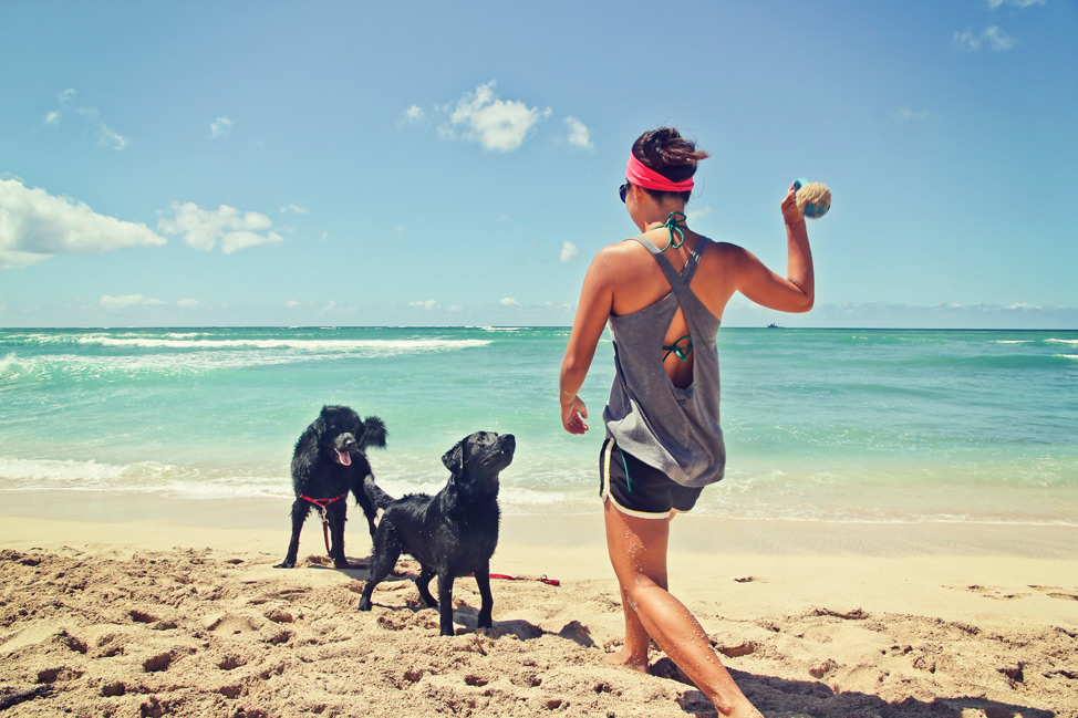 Dog Beach Oahu