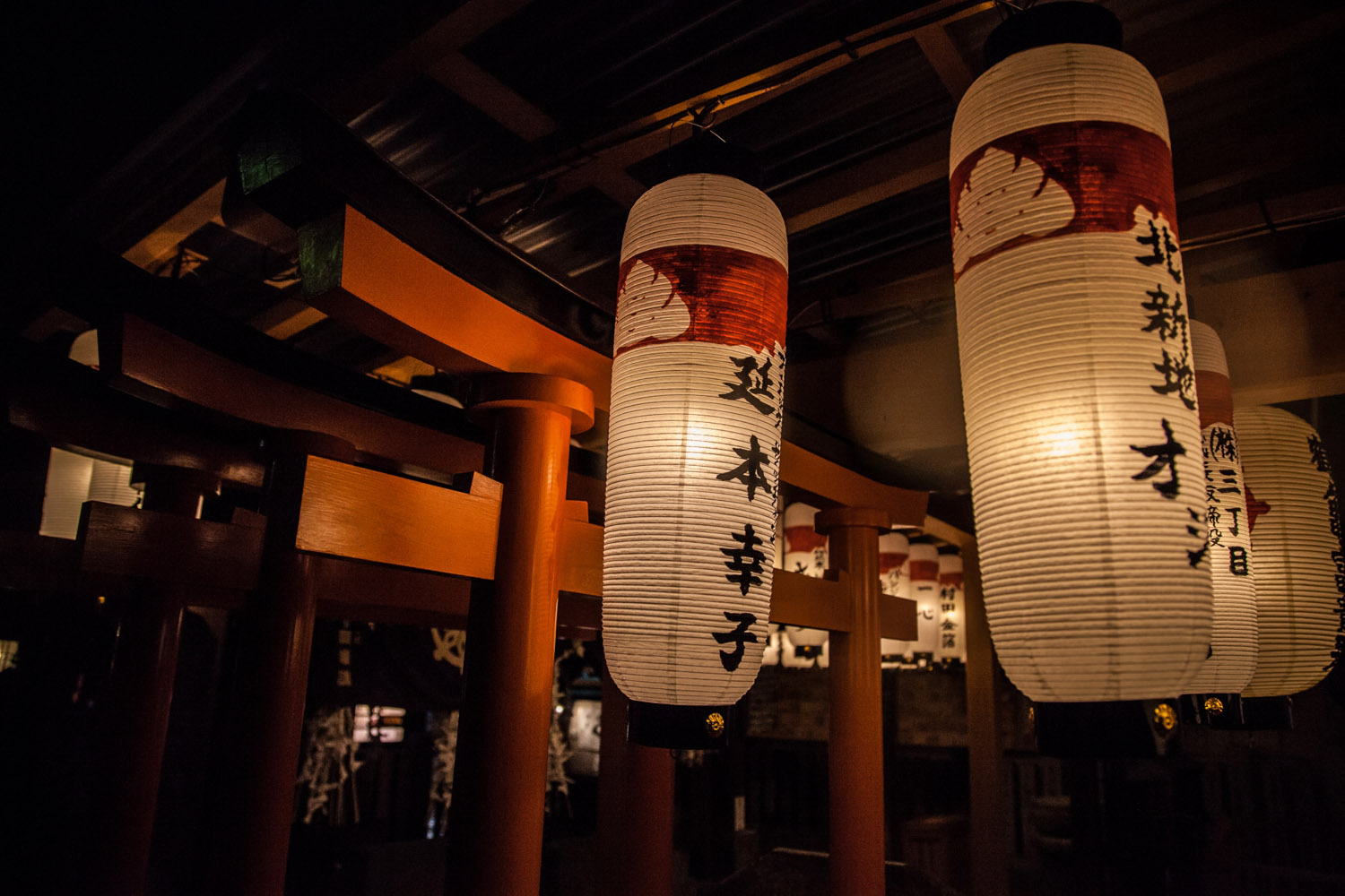 Swaying lanterns frozen by a fast shutter – Hozen-ji temple, Osaka