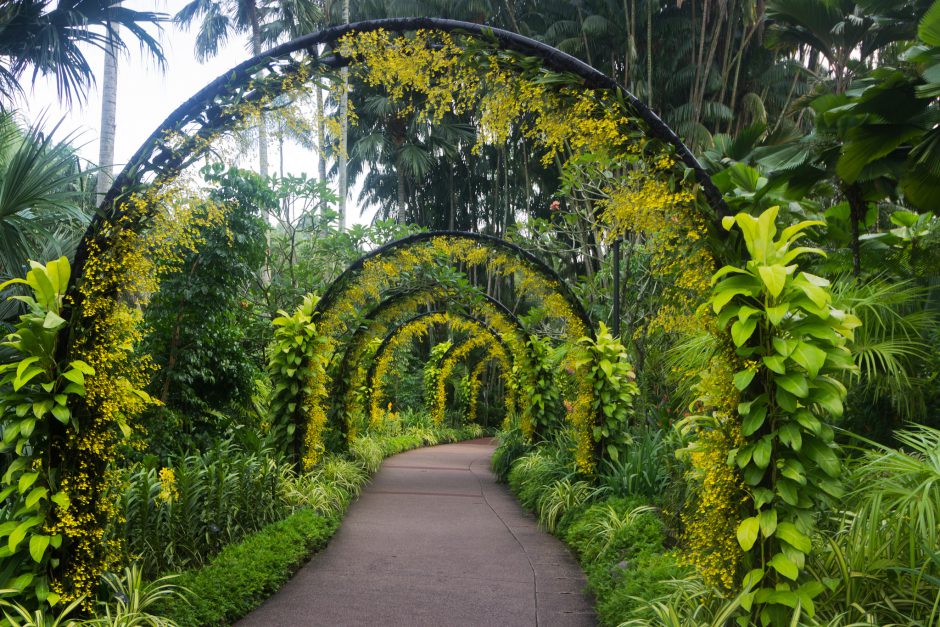 The magical pathway that leads to the Orchid Garden. Pic: _paVan_/flickr