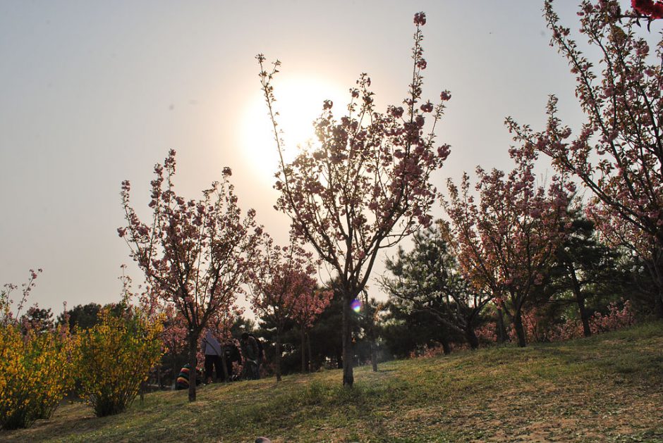 Chaoyang Park is one of the largest and loveliest green spaces in Beijing