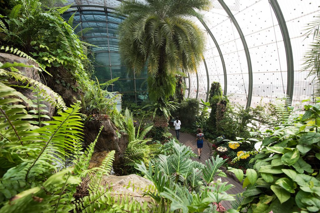 The enclosed, open-air butterfly garden. Pic: Changi Airport 