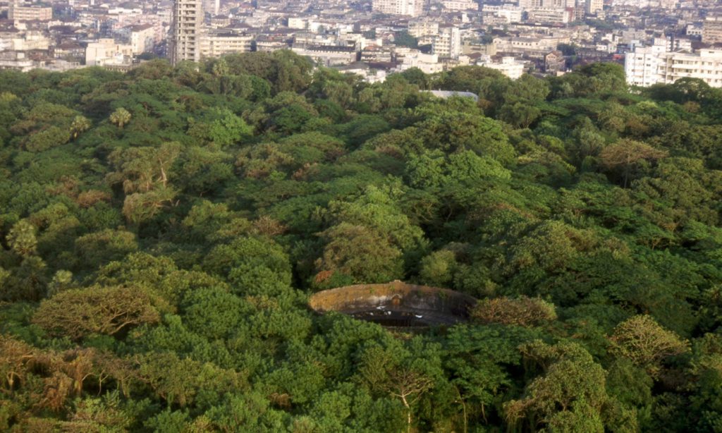 The Tower of Silence is shrouded within a thick foliage of trees. Pic: CITI IO