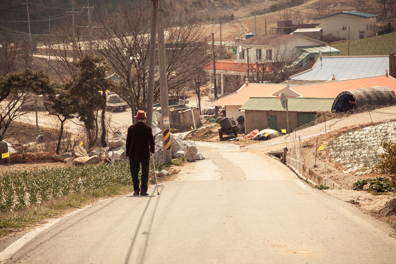 Stylish octogenarian strolls down a country lane – Ho-ri peninsula, Seosan