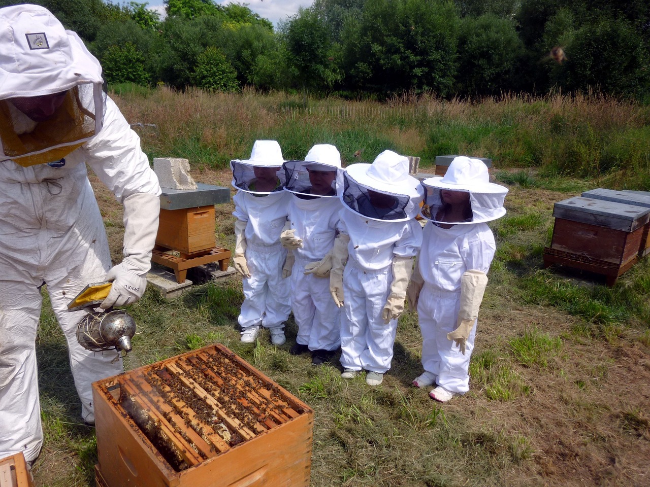 beekeeping-803495_1280.jpg