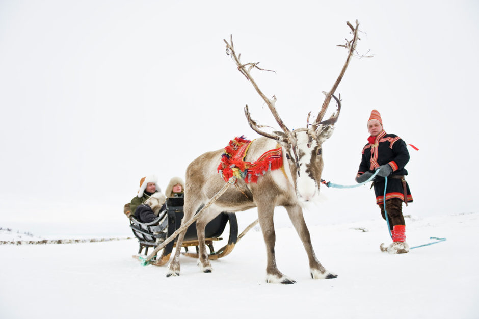 Sami and reindeer Norway
