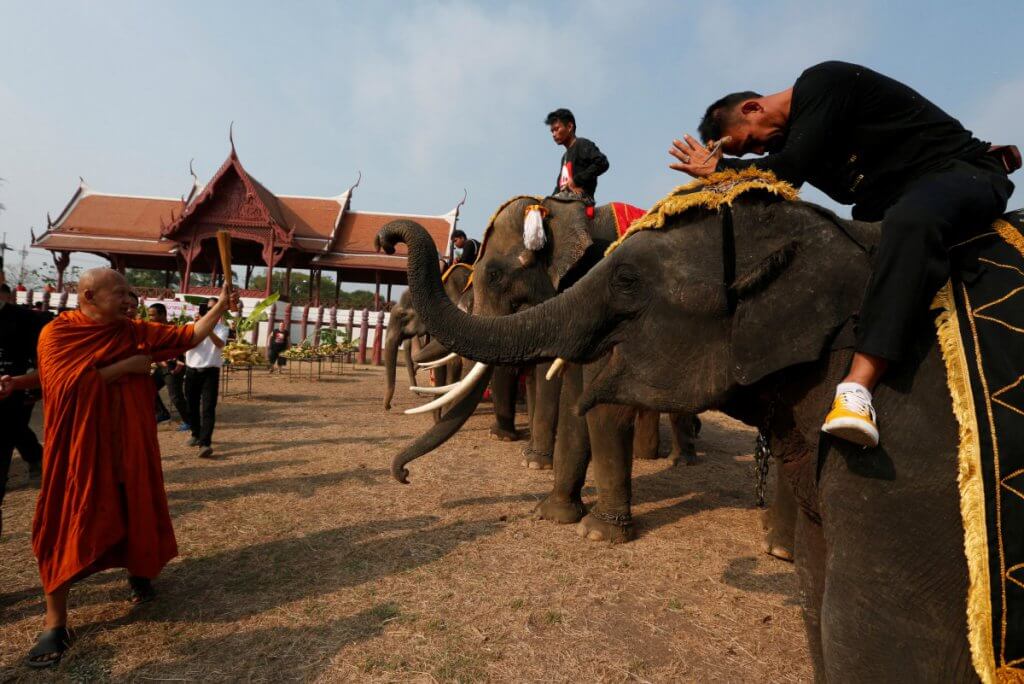 In pictures: Elephants treated to fruits buffet in national Thai celebration  