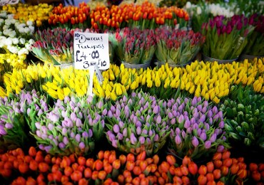 columbia-road-flower-market-london.jpg
