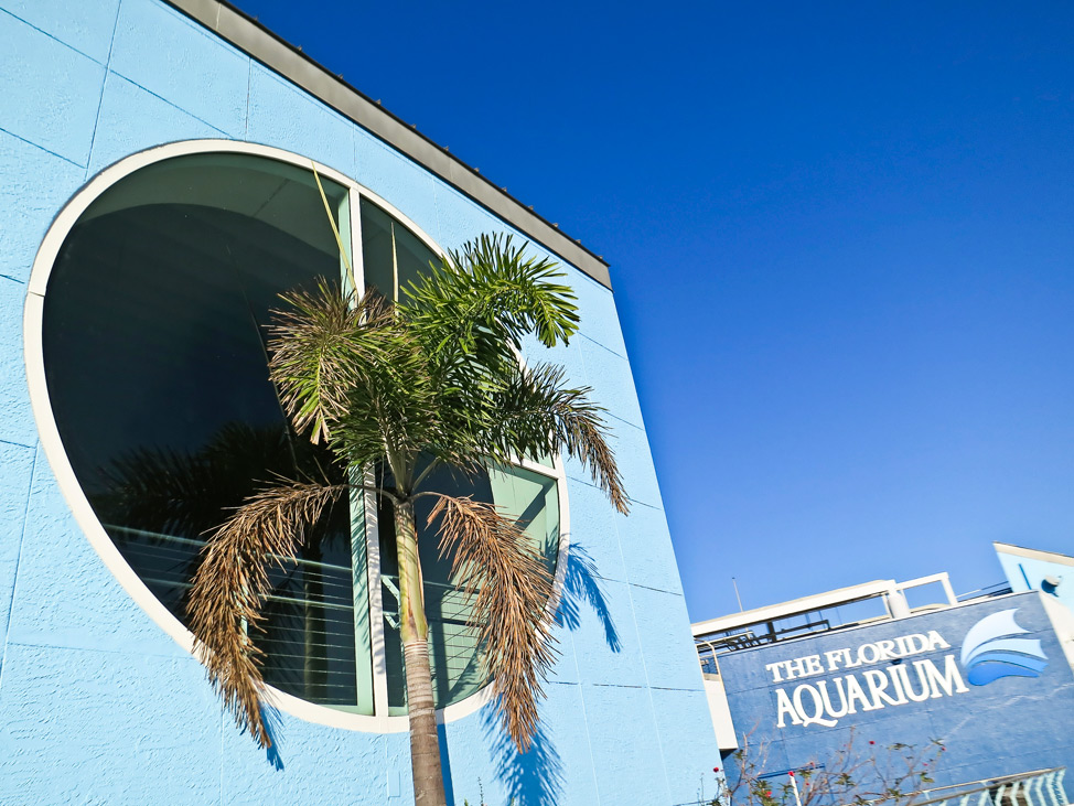 The Florida Aquarium Tampa