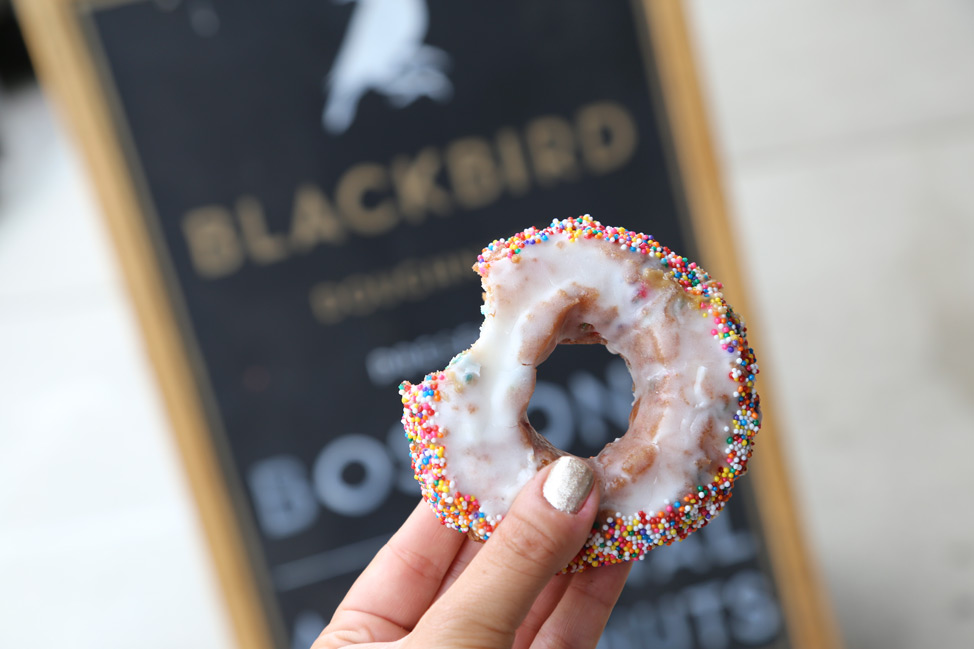 Blackbird Doughnuts Boston