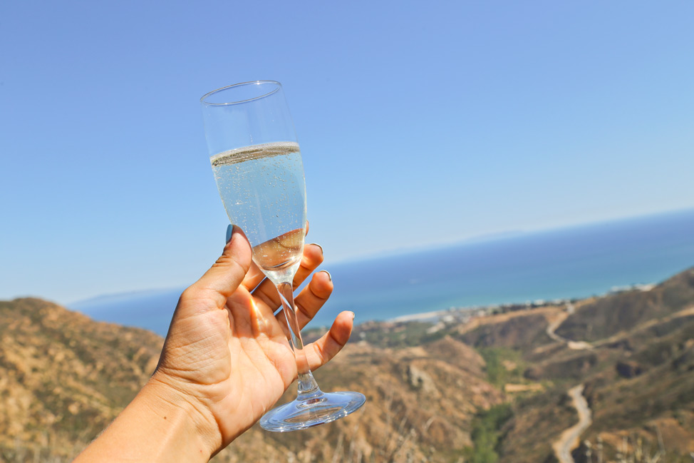 Champagne Helicopter Landing in Malibu
