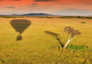 Ballonfahrt in der Masai Mara