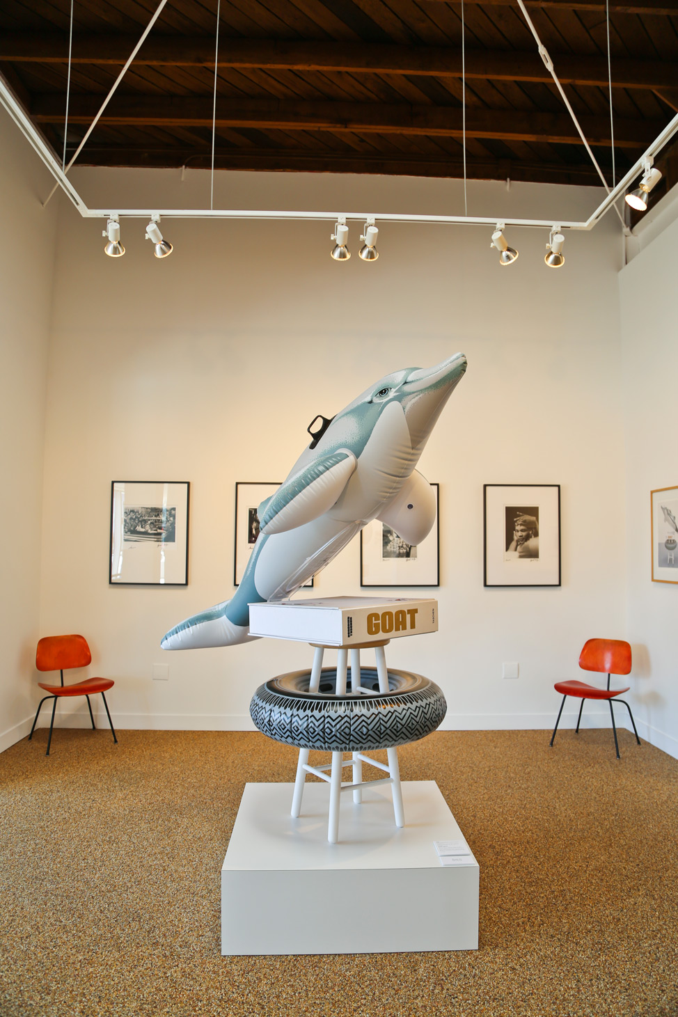 Sharks at Taschen Gallery Los Angeles