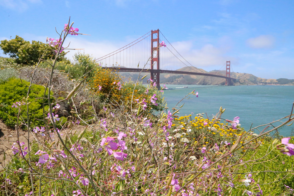 Golden Gate Bridge San Diego