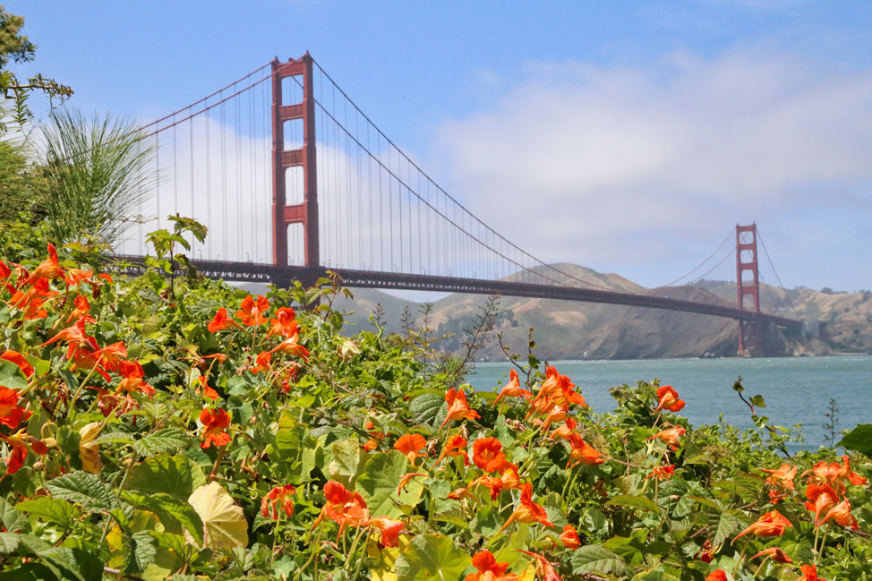 Golden Gate Bridge San Diego
