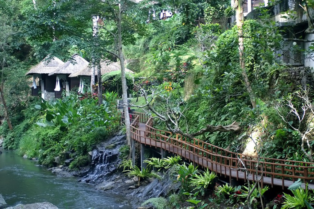 Maya Ubud Resort & Spa: Stoic celebration of Bali’s dense rainforest  Maya Ubud Resort & Spa: Stoic celebration of Bali’s dense rainforest  Maya Ubud Resort & Spa: Stoic celebration of Bali’s dense rainforest  