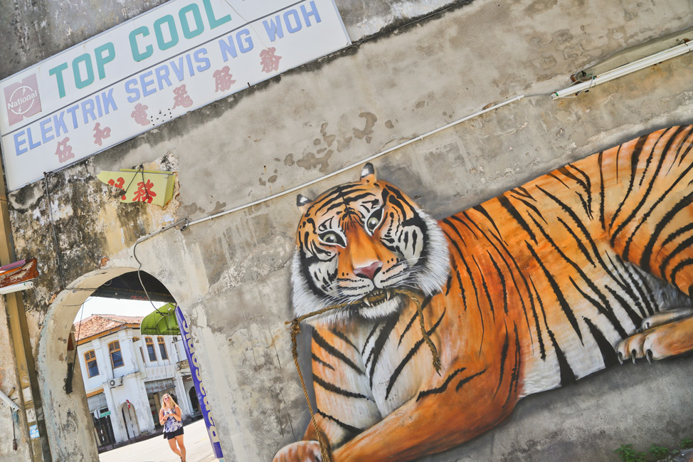 Penang Street Art Travel Blog Post