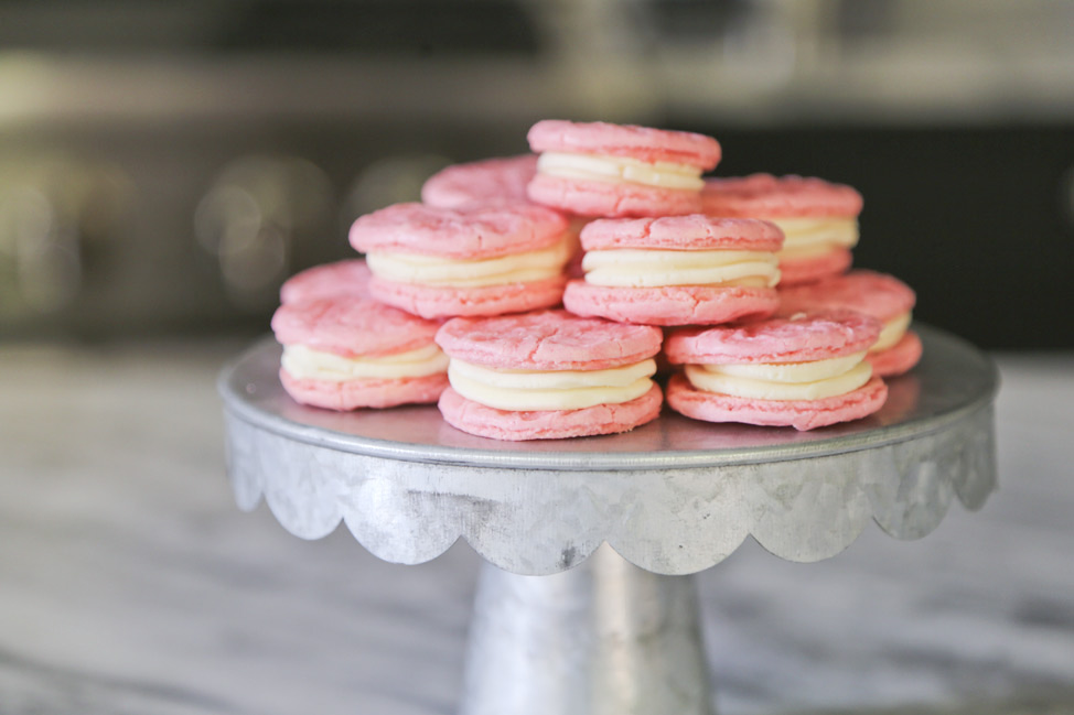 How To Make French Macarons Skillshare Course Review
