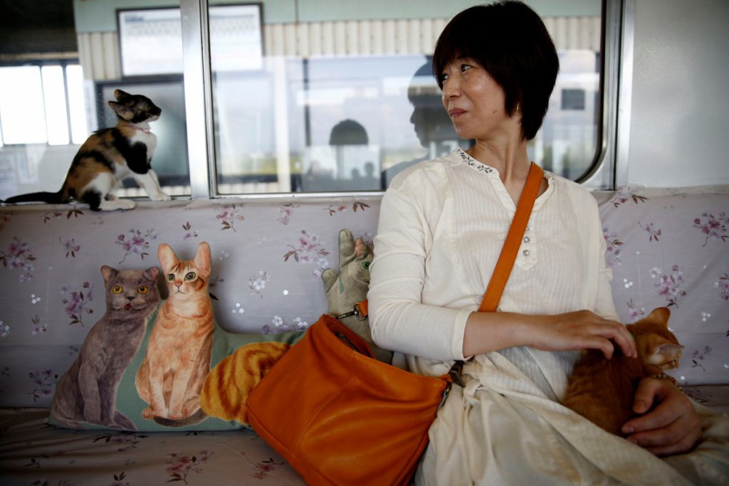 In pictures: Meet your curious, playful 'furry' fellow passengers on this train ride  