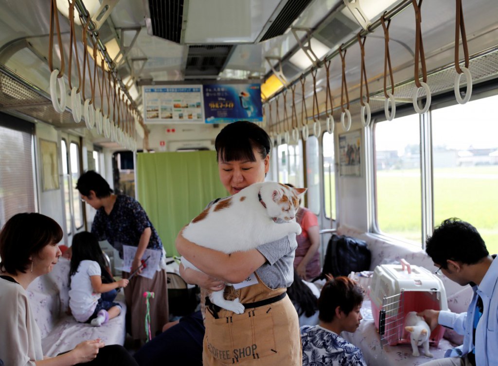 In pictures: Meet your curious, playful 'furry' fellow passengers on this train ride  