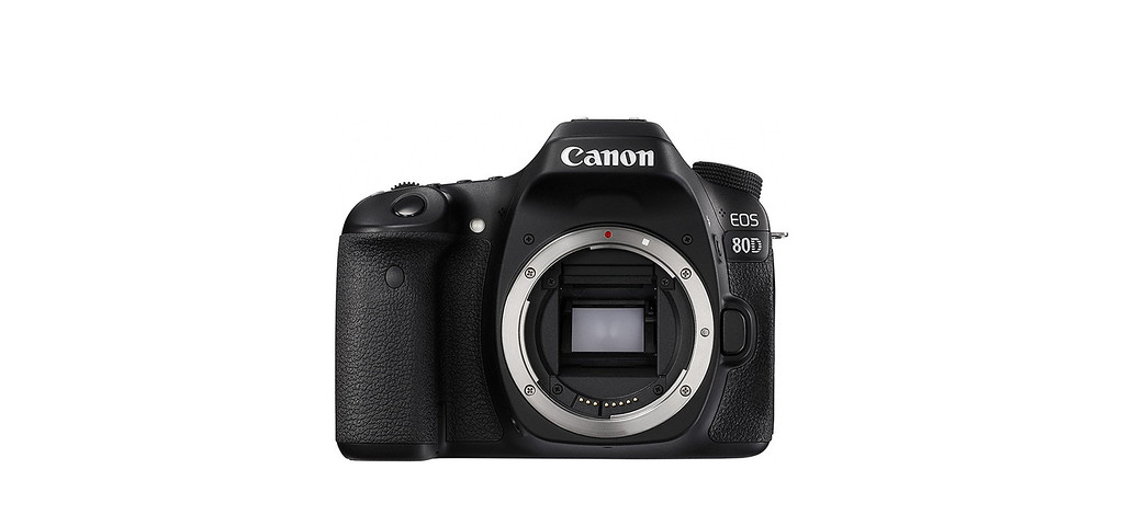 Canon 80D Travel Camera