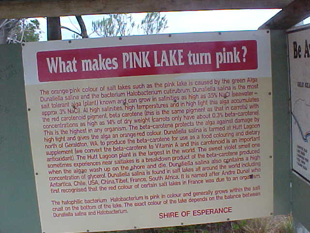 pink lake esperance