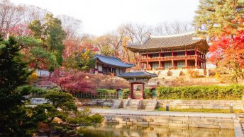 changdeokgung palace seoul south korea