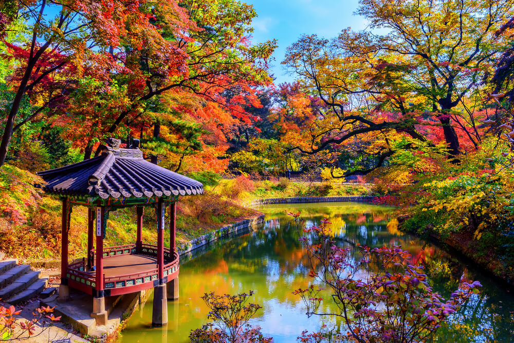 Changdeokgung Palace in Autumn