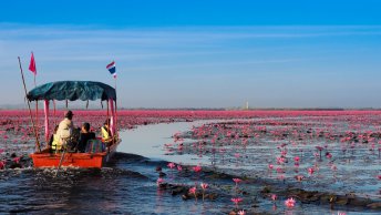 Red Lotus Sea Isan